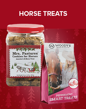 Horse Treats